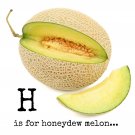 Honey Dew Melon 20 Fresh Seeds