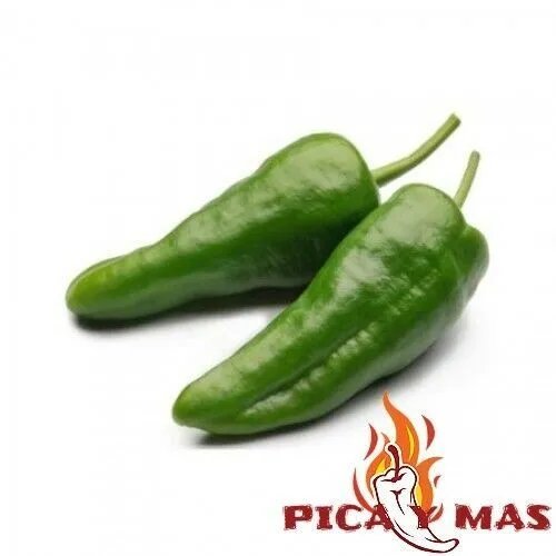 Padron Peppers Seeds 30 Authentic Non-Hybrid Units