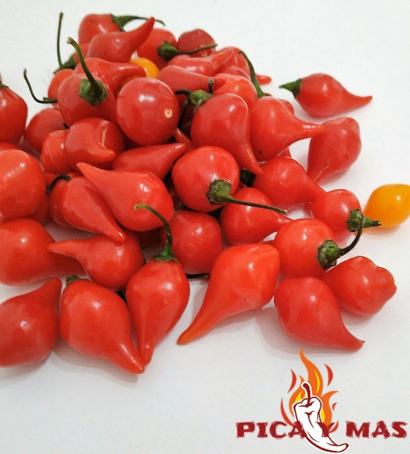 20 Biquinho Red Red Seeds Seeds Sweety Drops Pepper Tear Peppers