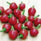 Cherry Bomb Chilli Cherry 30 Seeds Pepper Seed Very Spicy