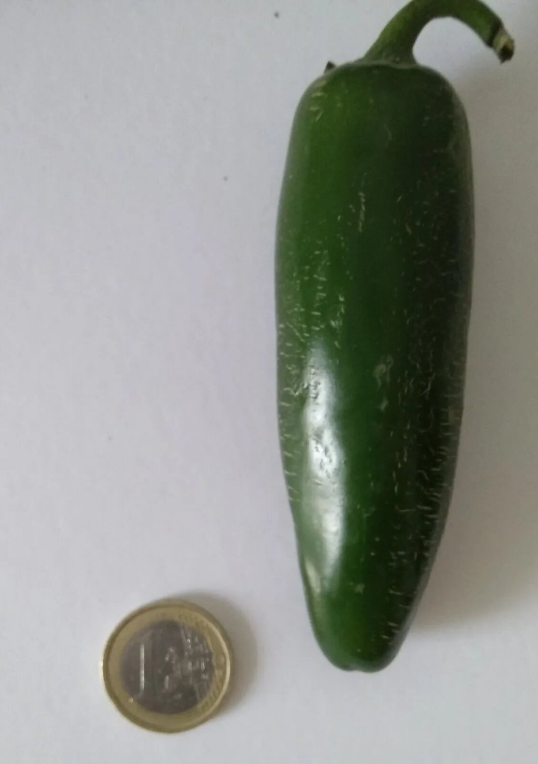30 Seeds Jalape