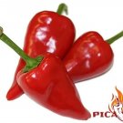 30 Seeds Of Chillies Alegrias Riojanas Spicy