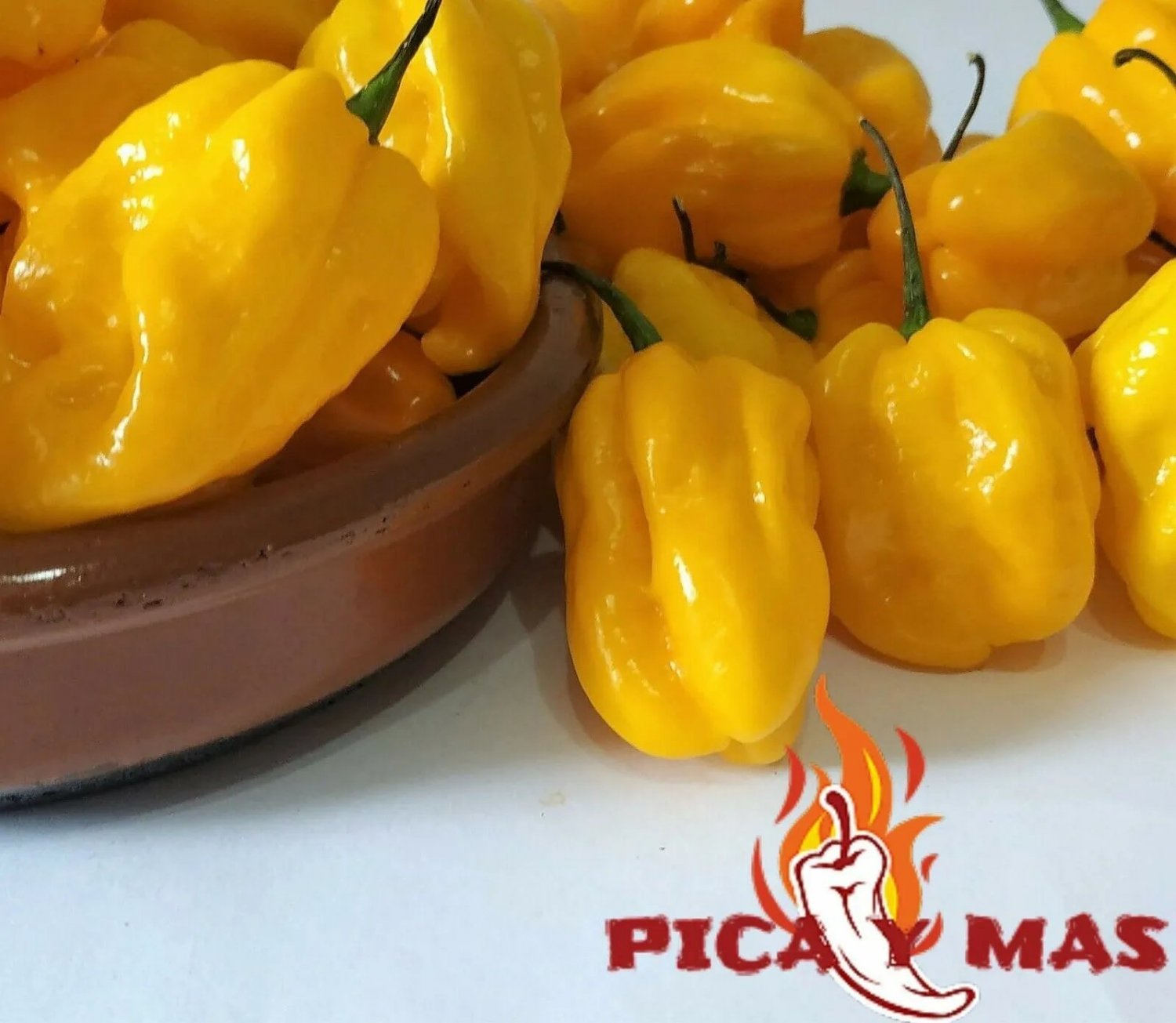 Yellow Habanero 30 Seeds Chili Chili Pepper Very Hot Pepper