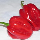 Red Habanero 30 Seeds Chili Chili Pepper Very Spicy Pepper