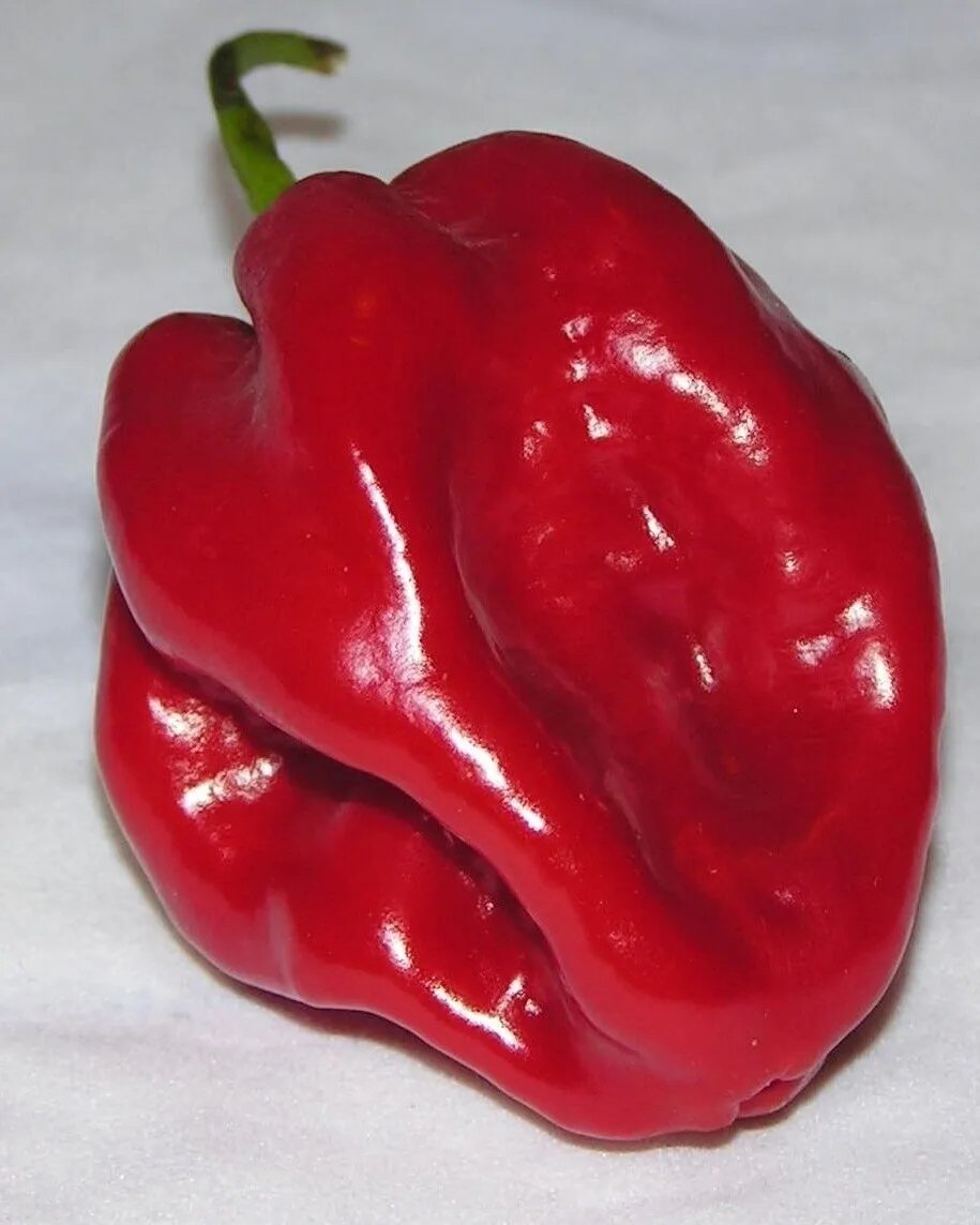 30 Red Habanero Seeds Very Spicy Pepper