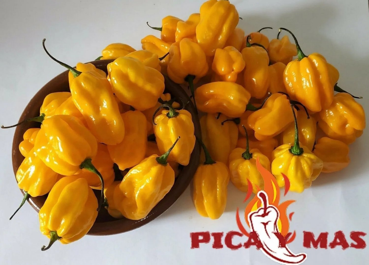 30 Habanero Yellow Seed Chile Seeds