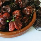20 Carolina Reaper Chocolate Bhutlah Chilli Seeds Seeds
