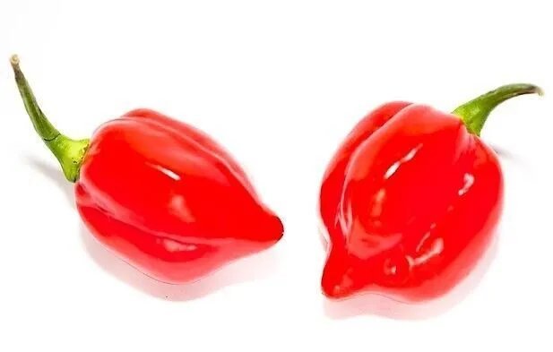Habanero Savina Red 30 Seeds Very Spicy Chili Pepper