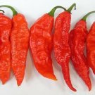 20 Bhut Jolokia Naga Seeds Seeds Chilli Peppers Ghost