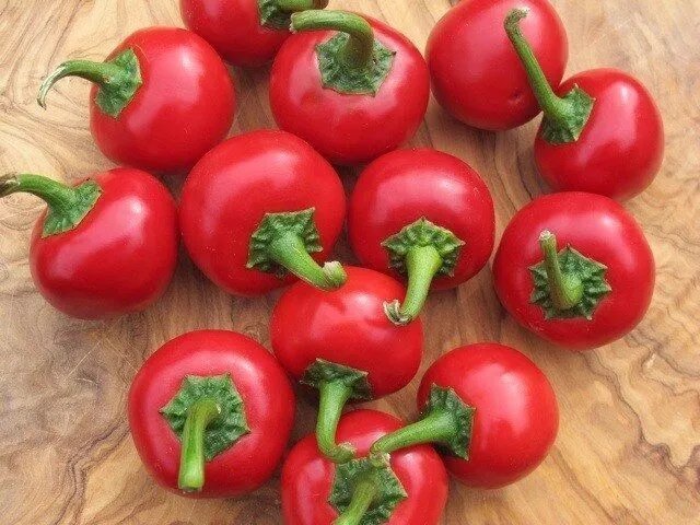 Chili Cherry Cascabel Bola 30 Seeds Pepper Cherry Bomb Seed Very Spicy