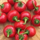 Chili Cherry Cascabel Bola 30 Seeds Pepper Cherry Bomb Seed Very Spicy
