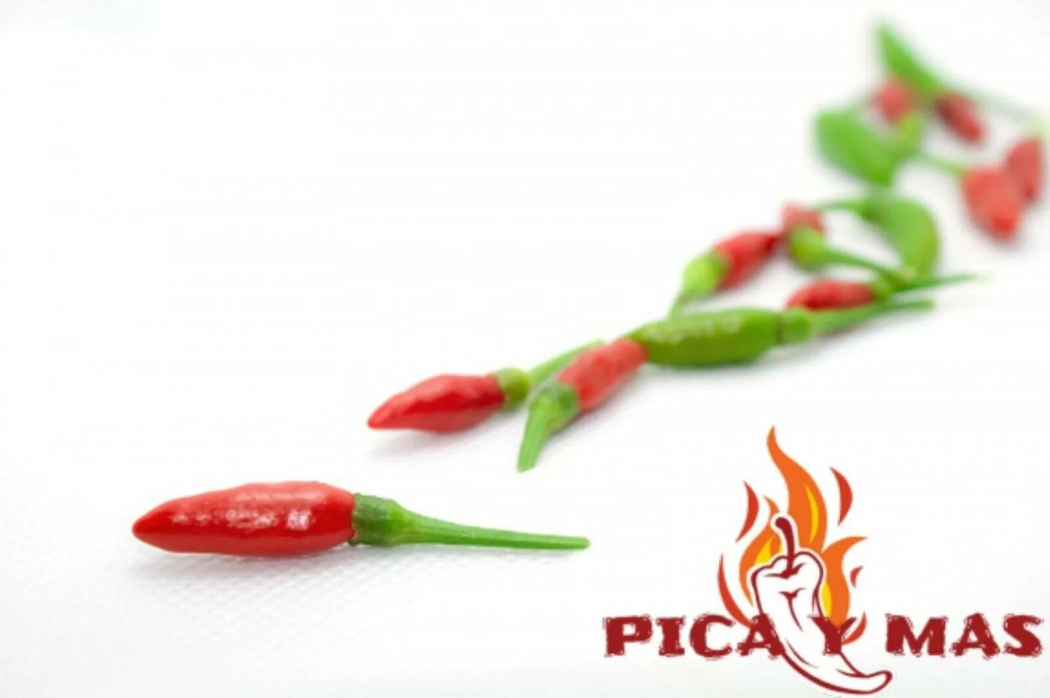 Bird'S Eye Bird Eye Chilli 30 Seeds Seeds Chili Peppers Piri Piri
