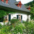 Flower Cottage Mix 500+ Seeds - Throw & Grow - 7 Different Flowers