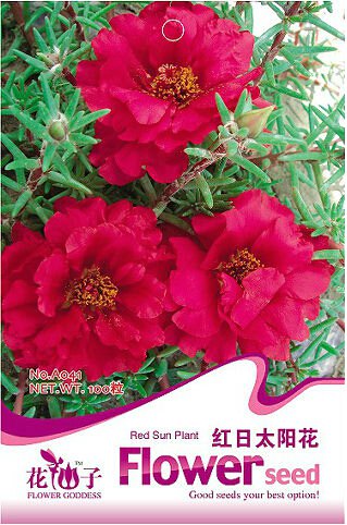 1 100 / Red Portulaca Moss Rose Sun Original Pack, seeds Grandiflora Se...