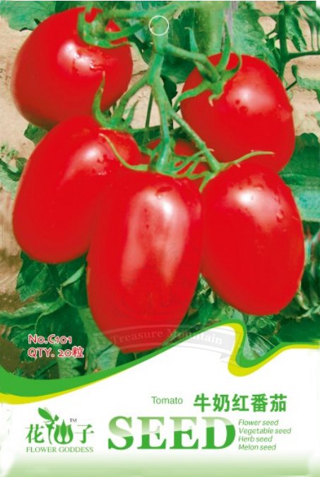 1 20 / Milky Red Cherry Edible Original pack, seeds Organic
