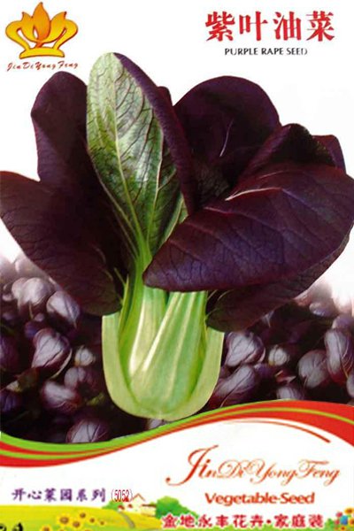 1 approx 30 / Purple Rape Heirloom Original Pack, seeds Non-Gmo O...