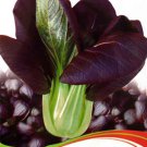 1 approx 30 / Purple Rape Heirloom Original Pack, seeds Non-Gmo O...