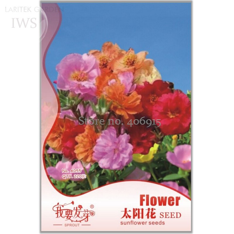 Potted Portulaca 220 improve the environment up your Grandiflora Seeds, Origi...
