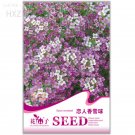 White Spice Snowball 50 quality potted ornamental Seeds, Original Package, se...
