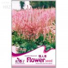 Beautiful Limonium Valentine 50 up your seeds, light garden