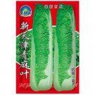 Tianjin Chinese Qingmaye Cabbage Seeds