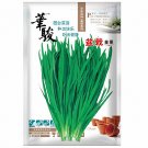 HUAJUN Bonsai Chinese Chives Seeds