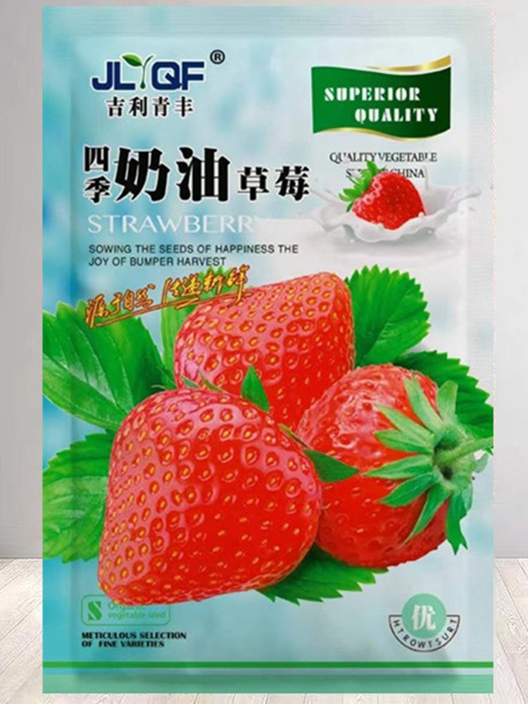 Four Seasons Cream Strawberry &acirc;�� Premium Variety for Year-Round Large Seeds No...