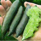 20 Novel Limes Citrus Bonsai Delicious Sweet Fruit for Home Mix Pcs Finger Po...