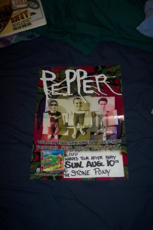 Pepper Warped Tour Poster