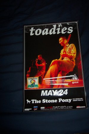 The Toadies Tour Poster