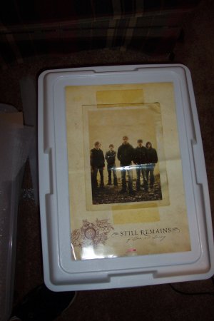 Still Remains 2 sided Poster