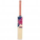CA PRO-300 Cricket Tennis Ball Soft Ball & Tape Ball Bat For Indoor/Outdoor Cricket
