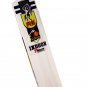 HS INDOOR SPECIALIST Tape Ball Tennis Ball Soft Ball Cricket Bat