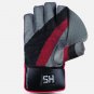 HS SPORTS 2 STAR HARD BALL CRICKET WICKET KEEPING GLOVES ( PLAYER EDITION)