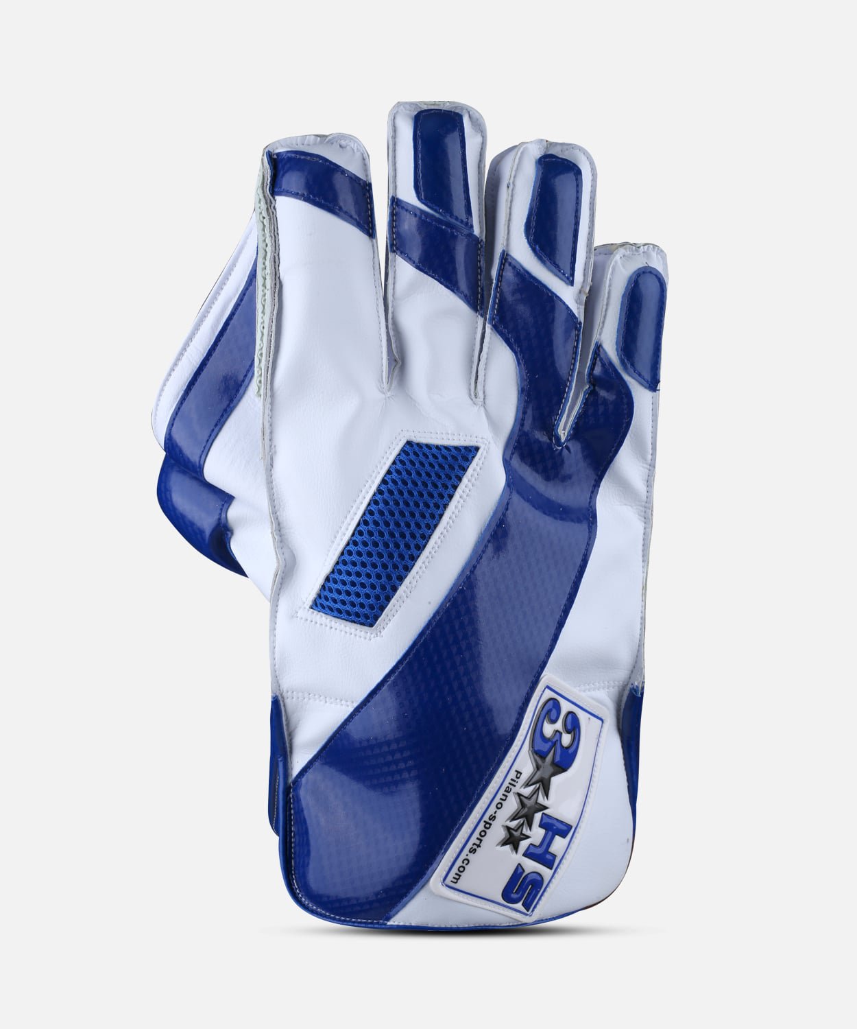 HS SPORTS 3 STAR HARD BALL CRICKET WICKET KEEPING GLOVES  (PLAYER EDITION)