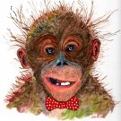 Quirky ZOO Animal Cards