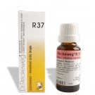 Dr. Reckeweg R-37 Drop Pack of 3