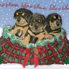 Pipsqueak Productions C491 Rottweiler Pups Christmas Boxed Cards - Pack of 10