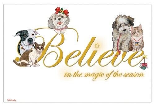 Pipsqueak Productions C590 Believe Mix Dog with Cat Christmas Boxed Cards - Pack