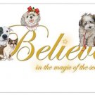 Pipsqueak Productions C590 Believe Mix Dog with Cat Christmas Boxed Cards - Pack