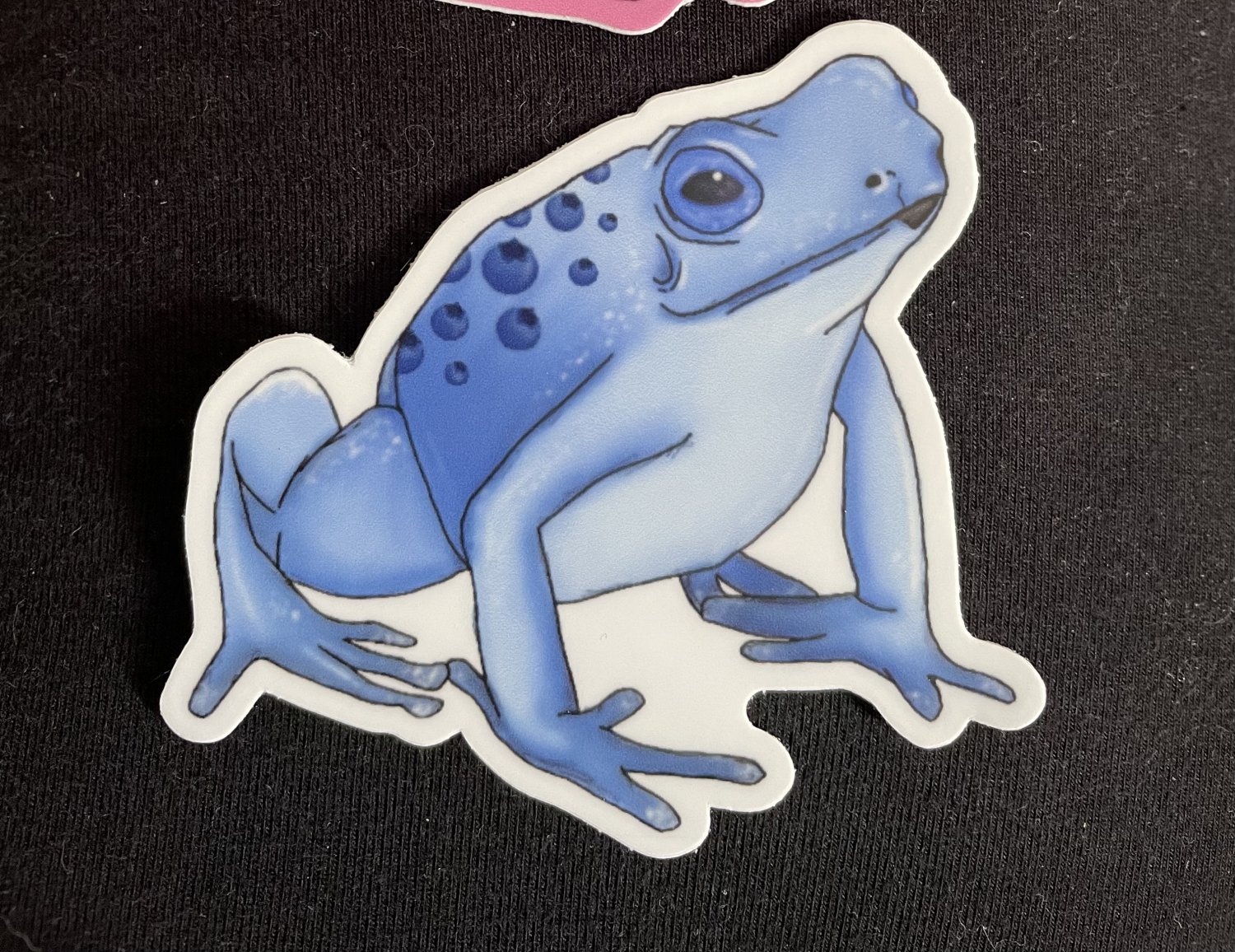 Blueberry Frog stickers