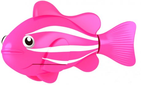 Pink clown robofish