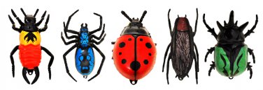 Nano-insect in the assortment running around