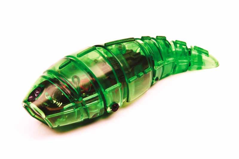 Microbot Larva 5 colors