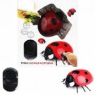 Robo-ladybug on IR control