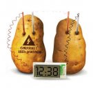 Clock running from potatoes