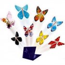 Surprise butterfly for 3 pcs