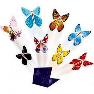 Surprise butterfly for 3 pcs
