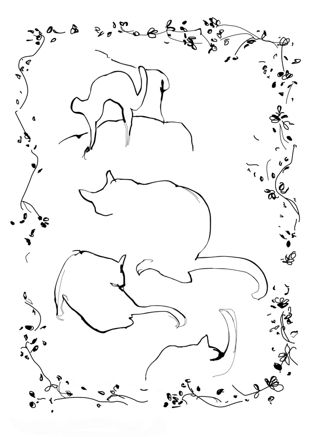 The Study of Cats - Printable Downloadable Card