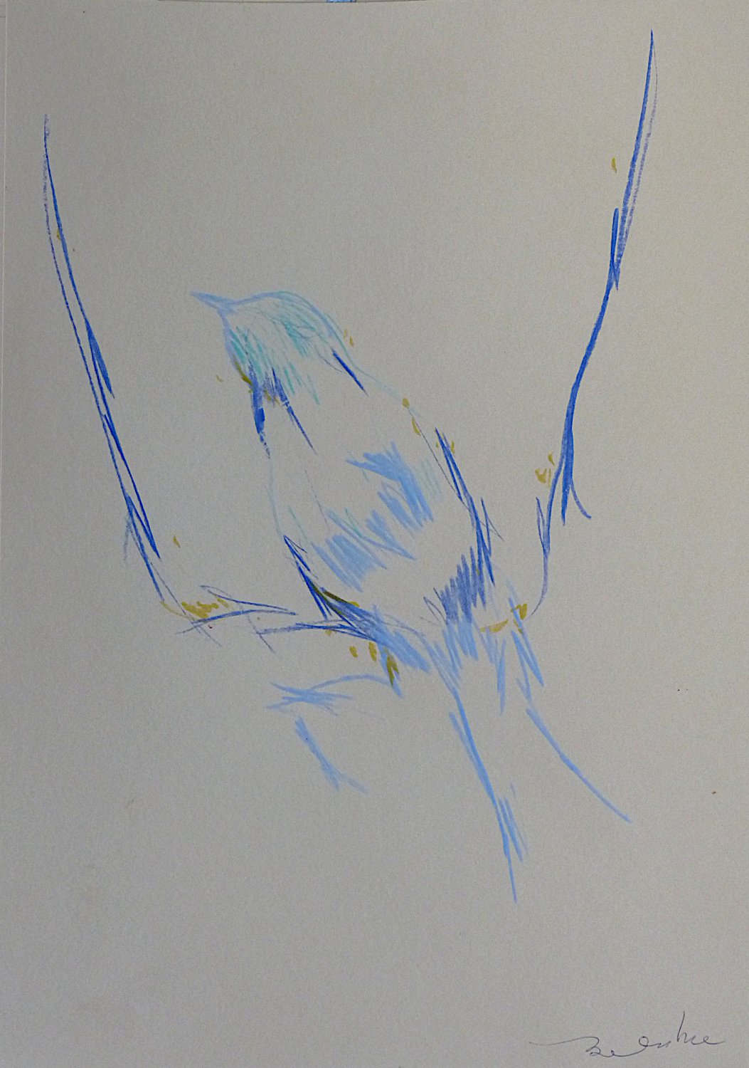 #58 - Gestural Research - The Bird - original drawing 29x21 cm